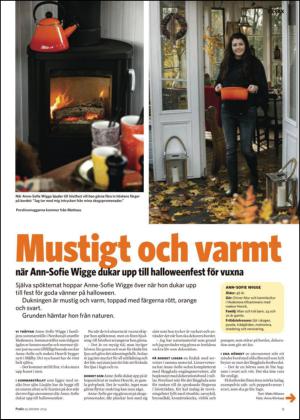 nyaludvikatidning_bilag-20141025_000_00_00_009.pdf