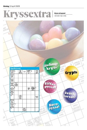 nyaludvikatidning_bilag-20250413_000_00_00.pdf