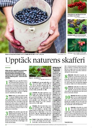 nyaludvikatidning_bilag-20250610_000_00_00_010.pdf