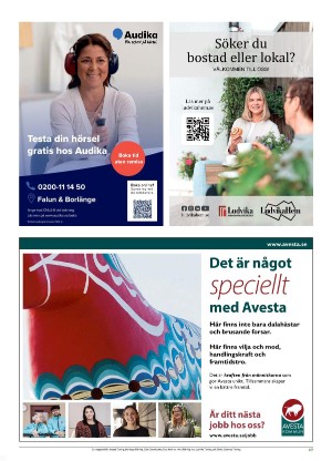 nyaludvikatidning_bilag-20250610_000_00_00_017.pdf