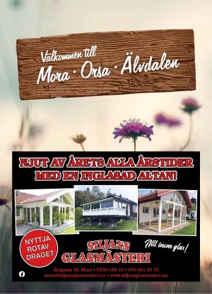 nyaludvikatidning_bilag-20250610_000_00_00_056.pdf