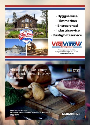 nyaludvikatidning_bilag-20250610_000_00_00_057.pdf