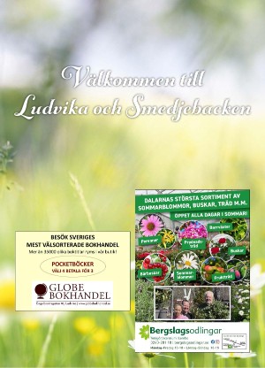 nyaludvikatidning_bilag-20250610_000_00_00_067.pdf