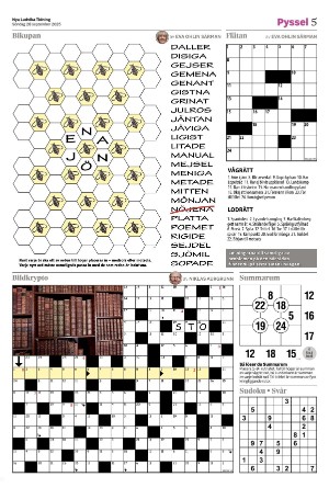 nyaludvikatidning_bilag-20250928_000_00_00_005.pdf
