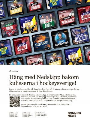 nyaludvikatidning_kt-20241128_000_00_00_019.pdf