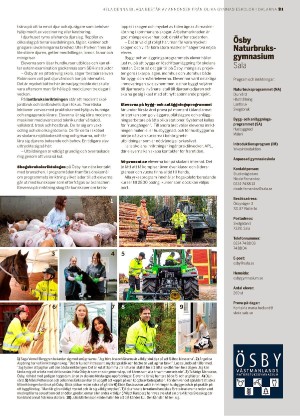 nyaludvikatidning_kt-20241128_000_00_00_021.pdf