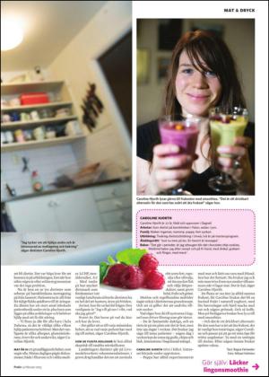 nyaludvikatidning_pralin-20150214_000_00_00_017.pdf