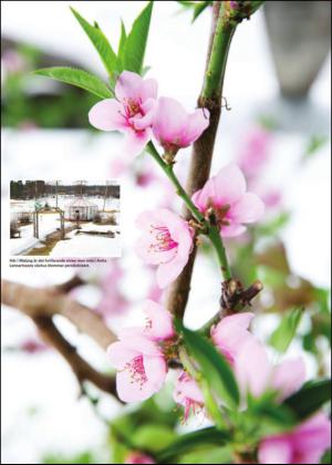 nyaludvikatidning_pralin-20150328_000_00_00_008.pdf