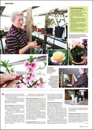 nyaludvikatidning_pralin-20150328_000_00_00_010.pdf