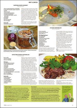 nyaludvikatidning_pralin-20150822_000_00_00_019.pdf