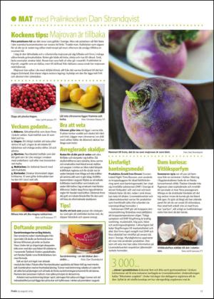 nyaludvikatidning_pralin-20150829_000_00_00_017.pdf