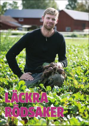 nyaludvikatidning_pralin-20150912_000_00_00_012.pdf