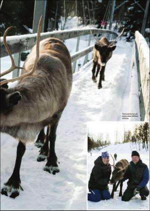 nyaludvikatidning_pralin-20160305_000_00_00_005.pdf