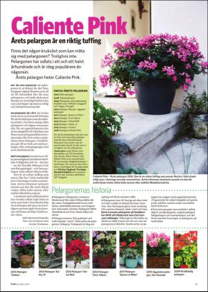 nyaludvikatidning_pralin-20160430_000_00_00_015.pdf