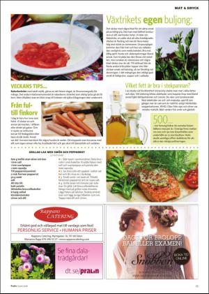 nyaludvikatidning_pralin-20160611_000_00_00_025.pdf