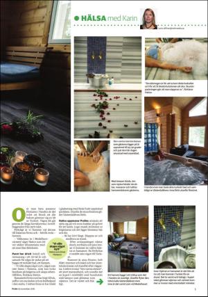 nyaludvikatidning_pralin-20161119_000_00_00_005.pdf