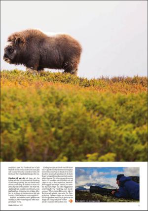 nyaludvikatidning_pralin-20170204_000_00_00_005.pdf