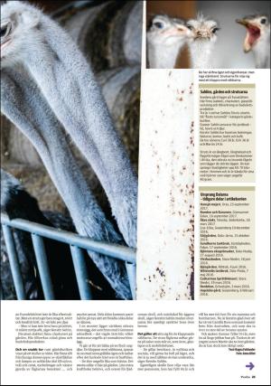 nyaludvikatidning_pralin-20180324_000_00_00_025.pdf