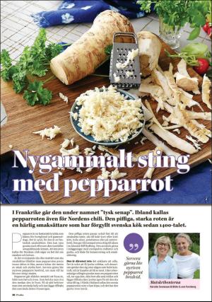 nyaludvikatidning_pralin-20180421_000_00_00_038.pdf
