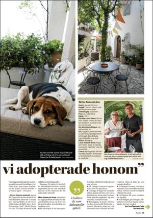 nyaludvikatidning_pralin-20190420_000_00_00_033.pdf