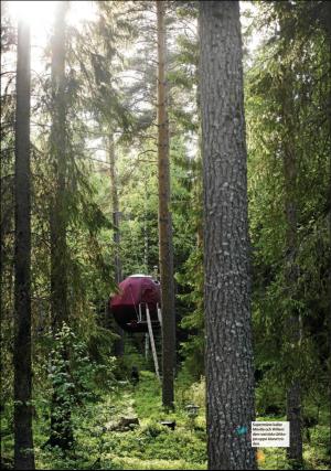 nyaludvikatidning_pralin-20200627_000_00_00_013.pdf