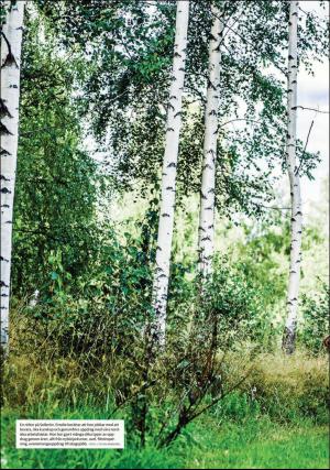 nyaludvikatidning_pralin-20200912_000_00_00_004.pdf