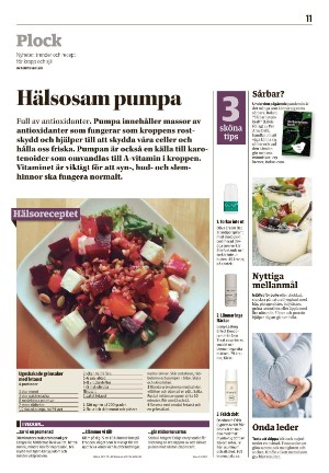 nyaludvikatidning_pralin-20210206_000_00_00_011.pdf