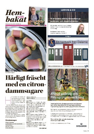 nyaludvikatidning_pralin-20210313_000_00_00_011.pdf