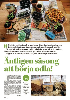 nyaludvikatidning_pralin-20210320_000_00_00_020.pdf