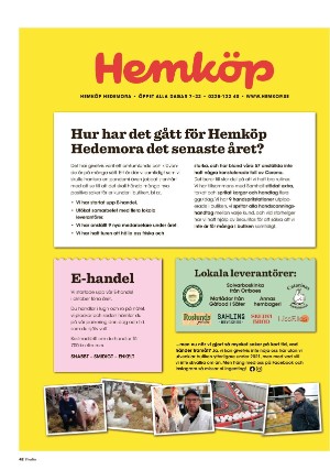 nyaludvikatidning_pralin-20210327_000_00_00_042.pdf