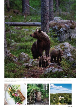 nyaludvikatidning_pralin-20210424_000_00_00_039.pdf