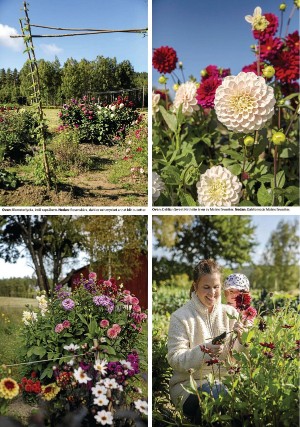 nyaludvikatidning_pralin-20210918_000_00_00_016.pdf