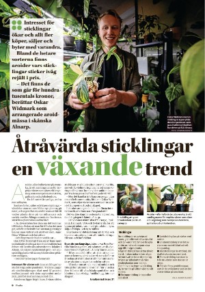 nyaludvikatidning_pralin-20211113_000_00_00_006.pdf
