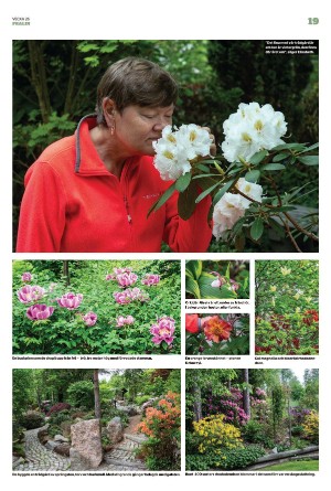 nyaludvikatidning_pralin-20220702_000_00_00_019.pdf
