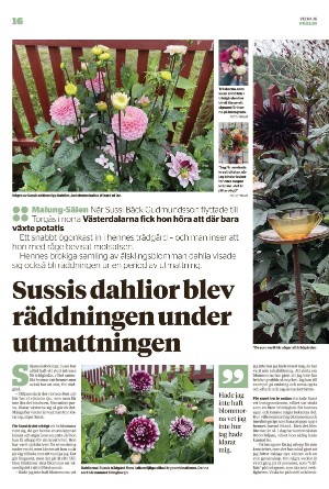 nyaludvikatidning_pralin-20220910_000_00_00_016.pdf