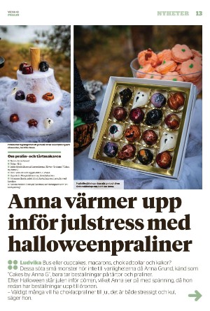 nyaludvikatidning_pralin-20221029_000_00_00_013.pdf