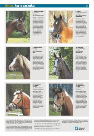 nyaludvikatidning_seksjon-20110812_000_00_00_013.pdf