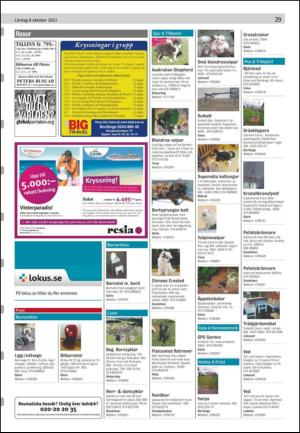 nyaludvikatidning_seksjon-20111008_000_00_00_029.pdf