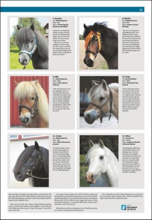 nyaludvikatidning_seksjon-20120825_000_00_00_019.pdf