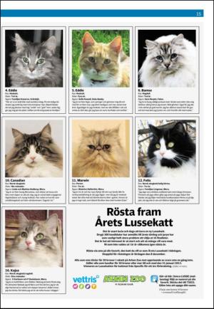 nyaludvikatidning_seksjon-20121201_000_00_00_015.pdf