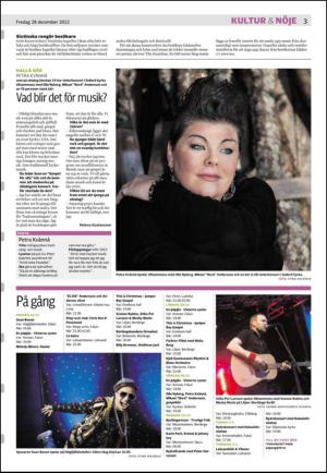 nyaludvikatidning_seksjon-20121228_000_00_00_003.pdf