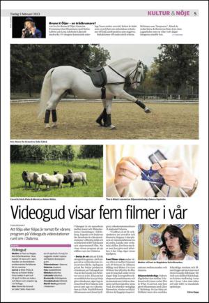 nyaludvikatidning_seksjon-20130205_000_00_00_005.pdf