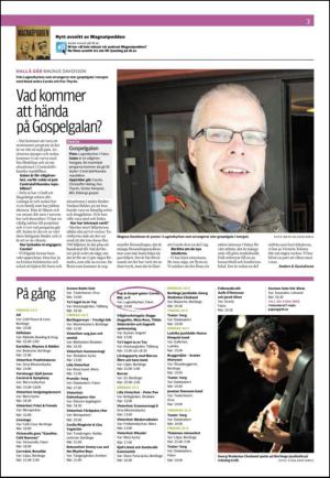 nyaludvikatidning_seksjon-20130215_000_00_00_003.pdf