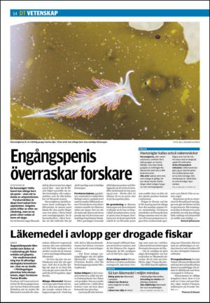 nyaludvikatidning_seksjon-20130216_000_00_00_014.pdf
