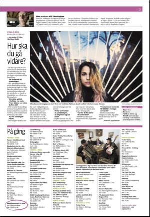 nyaludvikatidning_seksjon-20130405_000_00_00_003.pdf