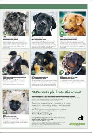 nyaludvikatidning_seksjon-20130419_000_00_00_019.pdf