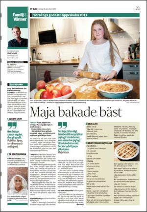 nyaludvikatidning_seksjon-20131018_000_00_00_023.pdf