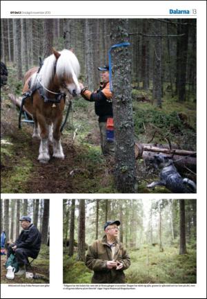 nyaludvikatidning_seksjon-20131106_000_00_00_013.pdf