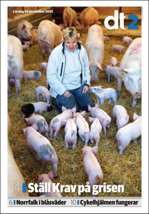 nyaludvikatidning_seksjon-20131214_000_00_00.pdf