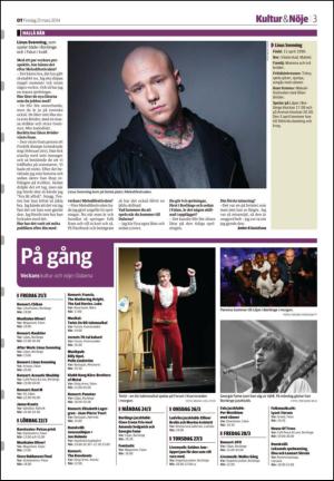 nyaludvikatidning_seksjon-20140321_000_00_00_003.pdf